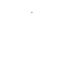 Bateleur Business Advisory